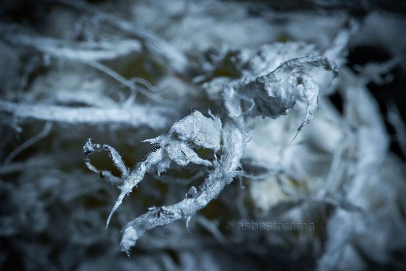 Asbestos Removal in Edinburgh